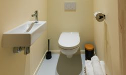 vakantiewoning toilet