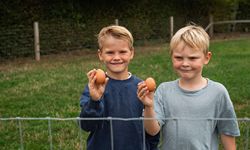 speeltuin eitjes