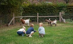 speeltuin geitjes